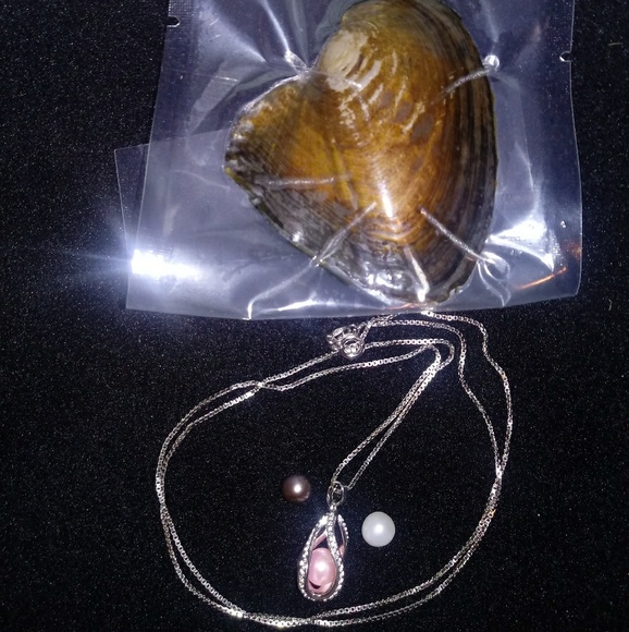 Jewelry - 🚨4 LEFT💥OYSTER&PENDANT W/ FRESHWATER PEARL